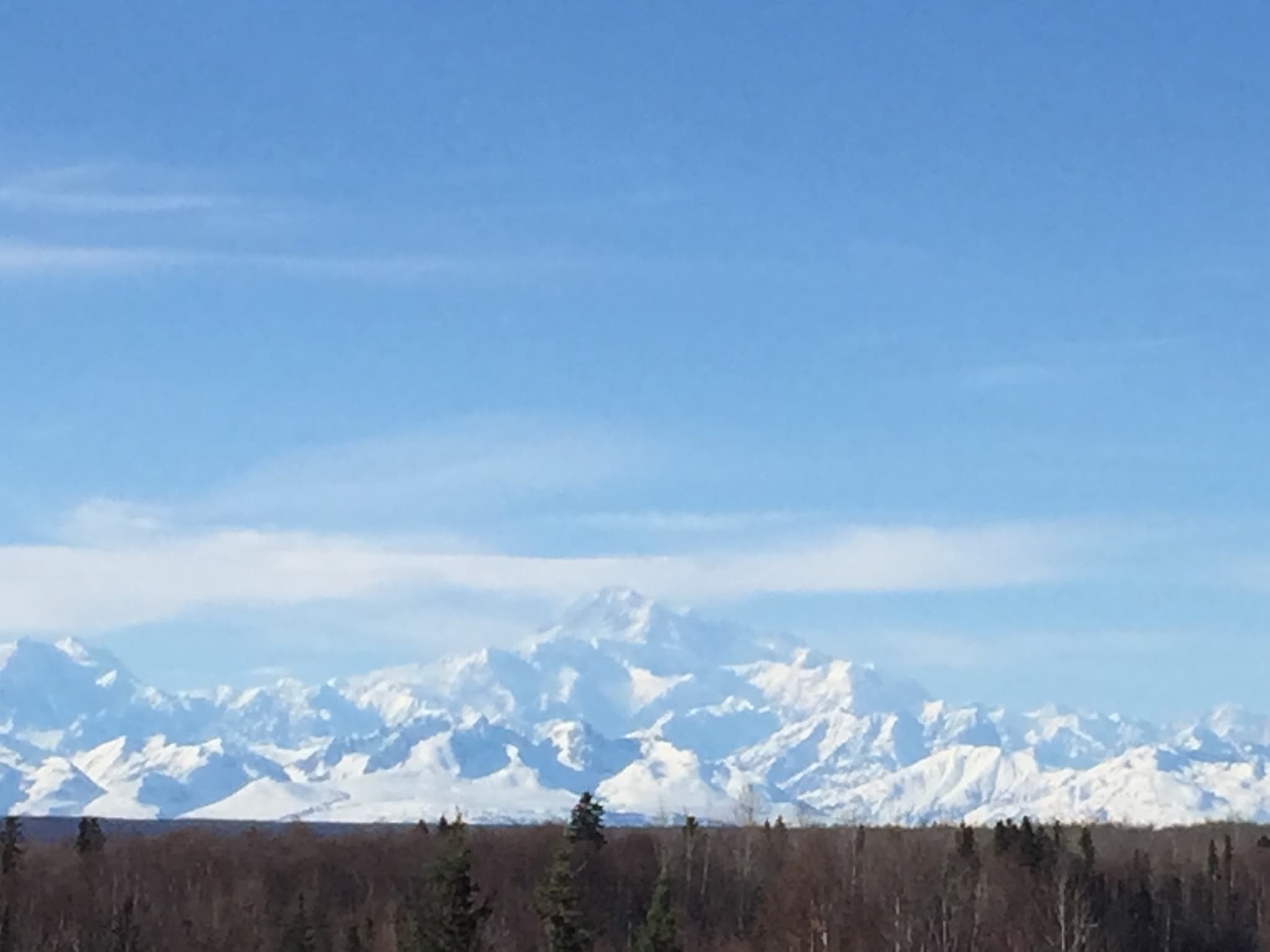 Day 2: Anchorage to Talkeetna, getting closer to Denali